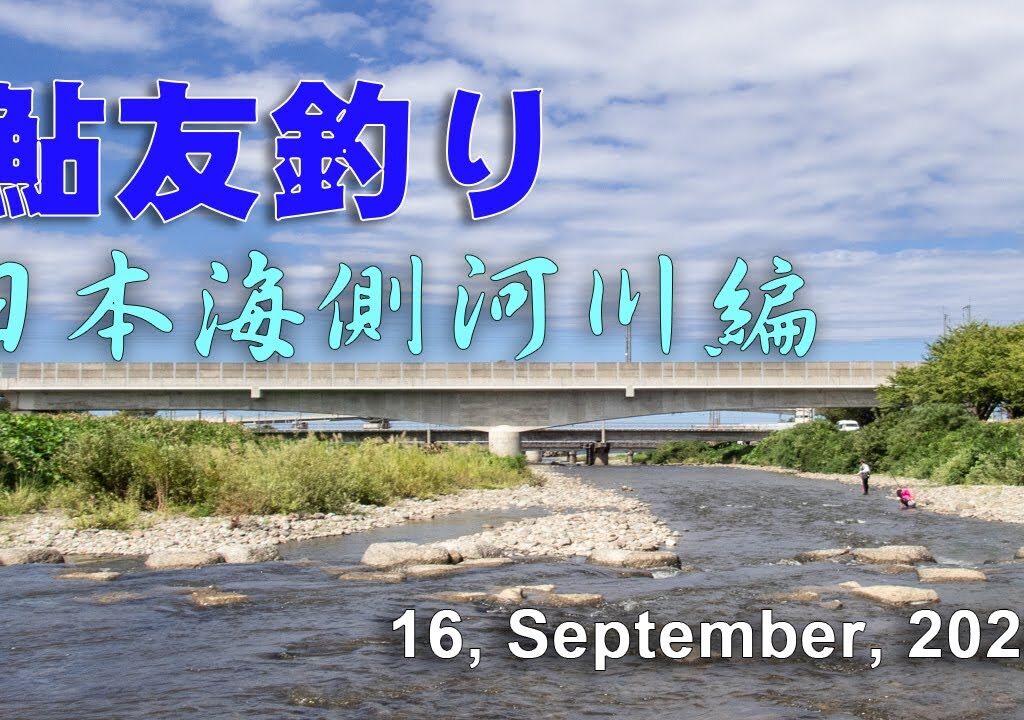 鮎友釣り・日本海側河川編  16, September, 2024