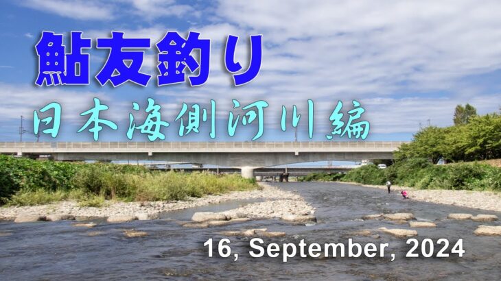 鮎友釣り・日本海側河川編  16, September, 2024