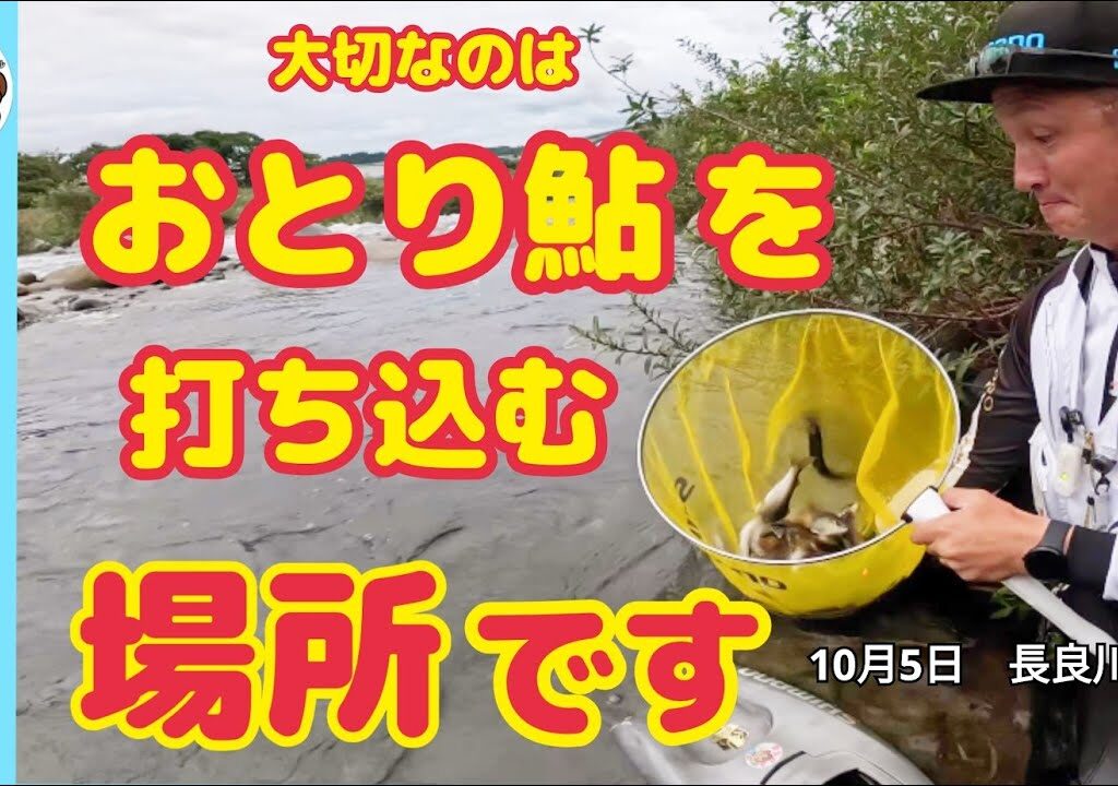 【鮎釣り2024】大切なのはおとり鮎を打ち込む場所！