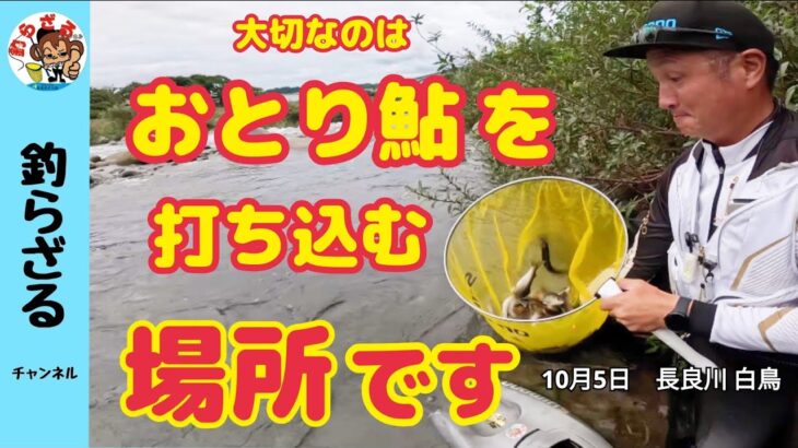 【鮎釣り2024】大切なのはおとり鮎を打ち込む場所！