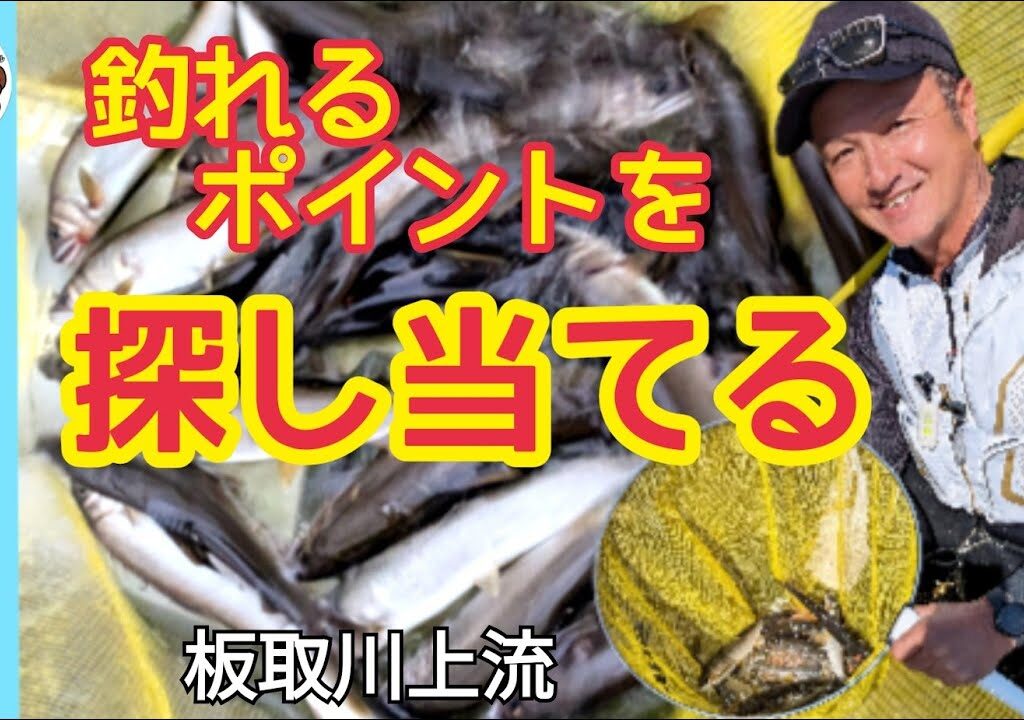【鮎釣り2024】釣れるポイントを探し当てる！板取川上流