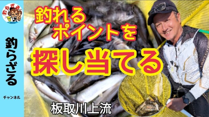 【鮎釣り2024】釣れるポイントを探し当てる！板取川上流