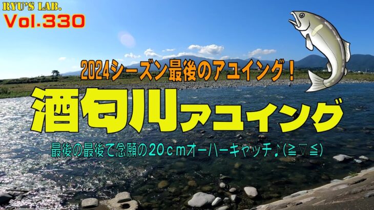 【アユイング】2024シーズン最後の酒匂川アユイング Ryu’s Lab. 第330弾 #アユイング #アユルアー #キャスティングアユ