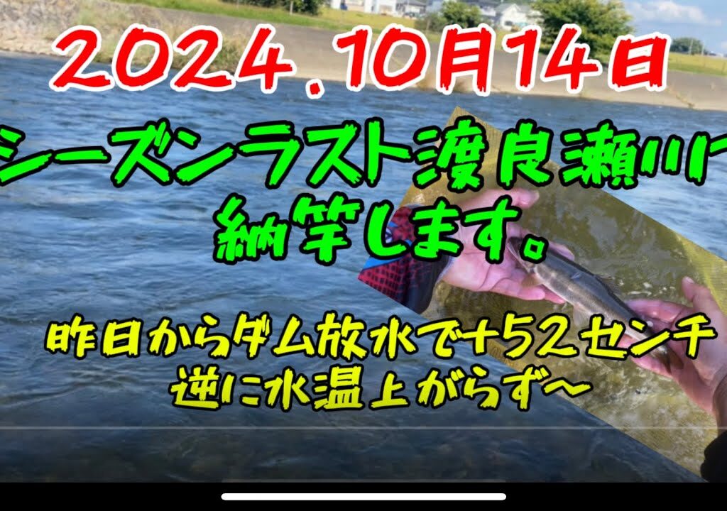 2024の鮎釣りラストは渡良瀬川で納竿‼️#釣り#鮎釣り #サンテック#サンラインフィールドテスター #サンライン#pr #栃木県