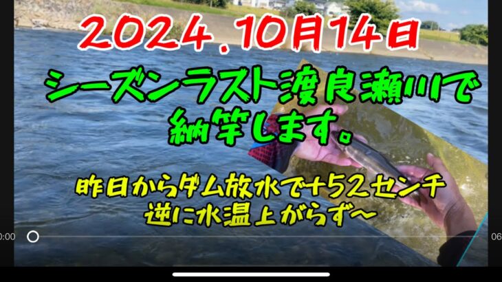 2024の鮎釣りラストは渡良瀬川で納竿‼️#釣り#鮎釣り #サンテック#サンラインフィールドテスター #サンライン#pr #栃木県
