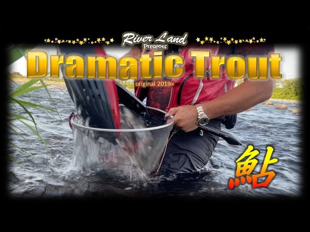 神通川鮎釣り ぶっ飛び！目印 ショータイム ラスト2024 ～ドラマティックトラウト trout fishing japan