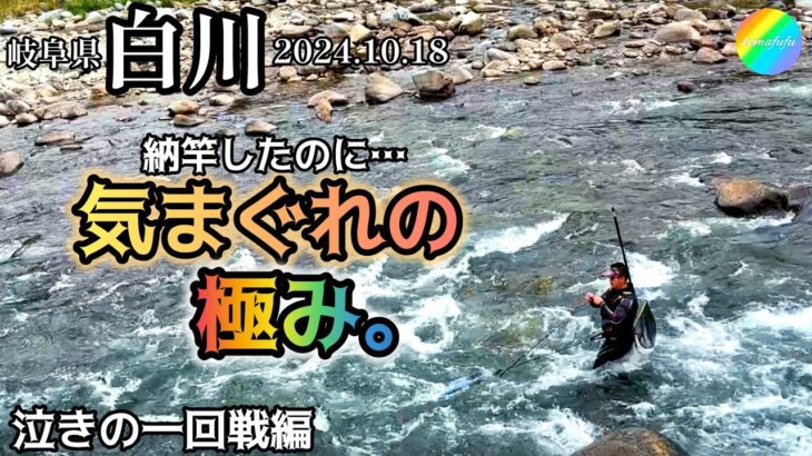 【鮎釣り】白川（岐阜県）｜まだ納竿出来なかった😂2024.10.18（金）【友釣り】