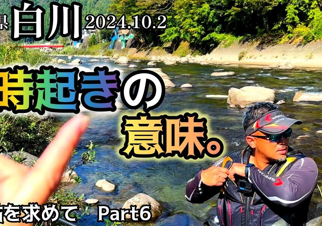 【鮎釣り】白川（岐阜県）｜2024.10.2（水）【友釣り】