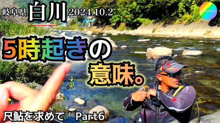 【鮎釣り】白川（岐阜県）｜2024.10.2（水）【友釣り】