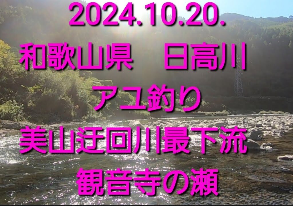2024.10.20. 和歌山 日高川 アユ釣り(美山最下流、観音寺の瀬)