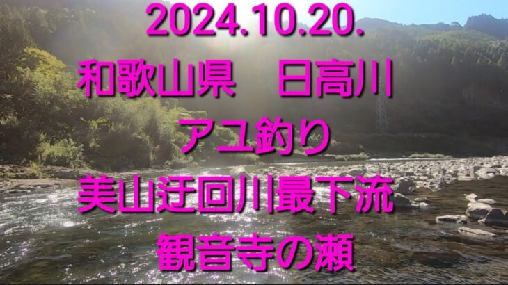 2024.10.20. 和歌山 日高川 アユ釣り(美山最下流、観音寺の瀬)