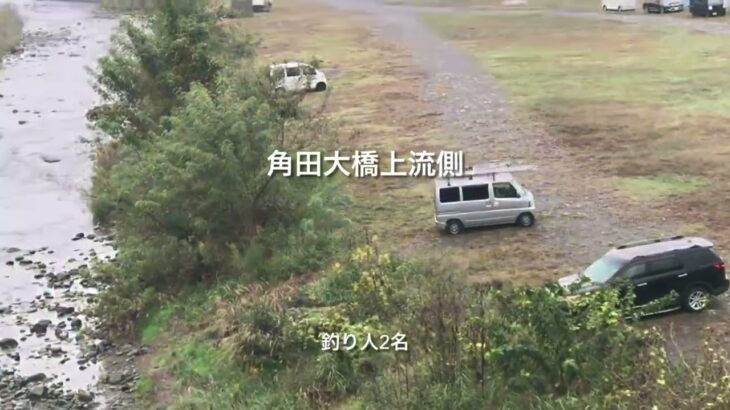 速報‼️中津川（相模川一部含む）鮎釣り人情報　馬渡橋、高田橋、角田大橋、ハ菅橋　2024.10.23 10時〜11時頃
