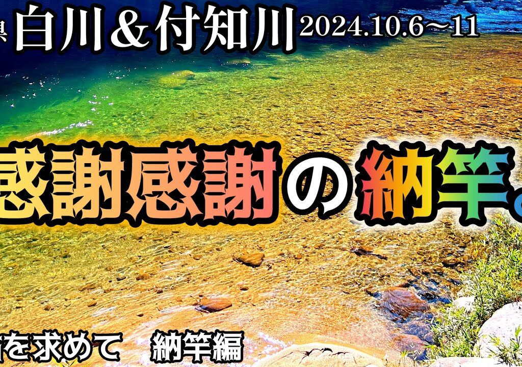 【鮎釣り】白川、付知川（岐阜県）｜納竿編！2024.10.6〜11【友釣り】