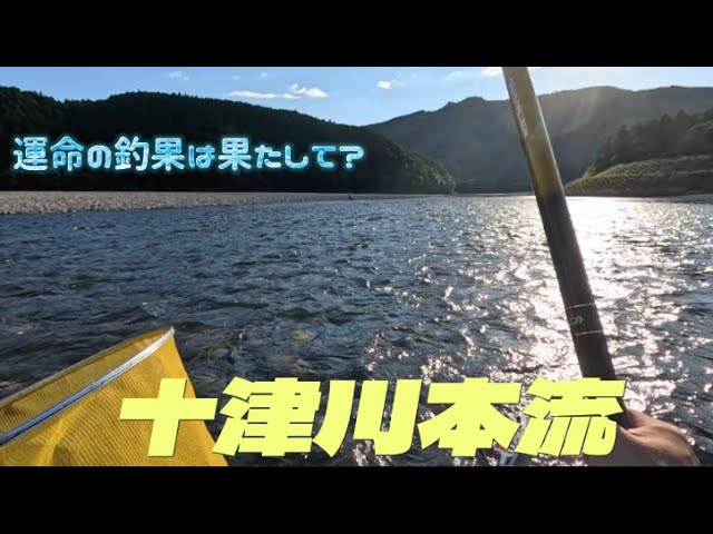 【鮎釣り】2024.10.9 数釣りに挑戦‼︎一服する暇なんかないぞ⁉︎