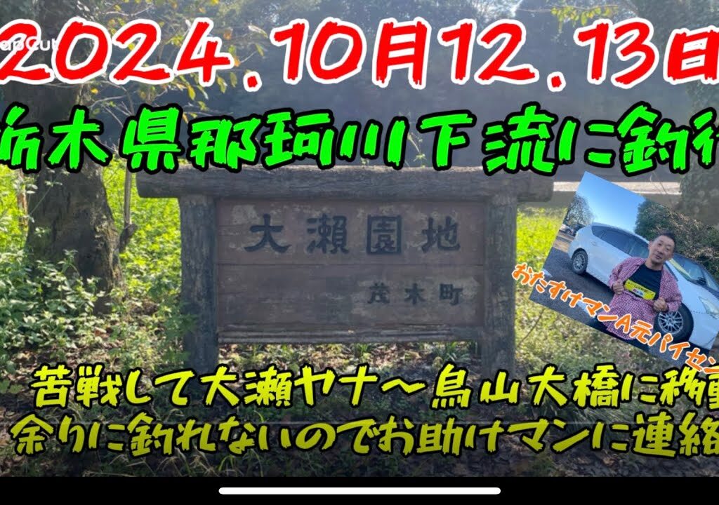 2024.10月12.13日 ラスト那珂川釣行　#釣り#鮎釣り #サンテック#サンラインフィールドテスター #サンライン#pr #栃木県
