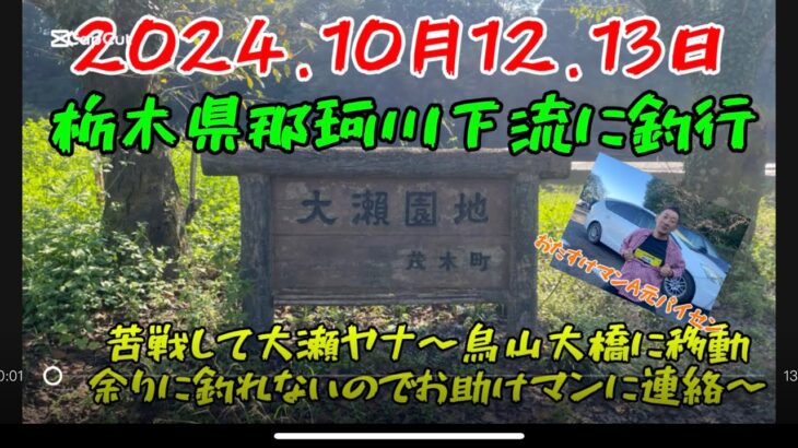 2024.10月12.13日 ラスト那珂川釣行　#釣り#鮎釣り #サンテック#サンラインフィールドテスター #サンライン#pr #栃木県