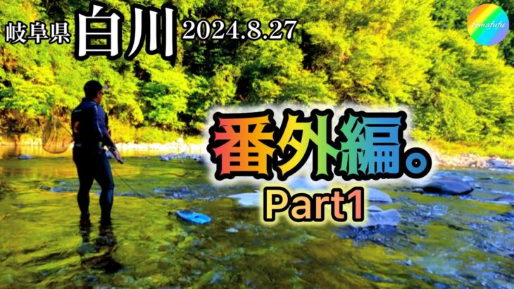 【鮎釣り】番外編①👻白川（岐阜県）｜2024.8.27（火）【友釣り】