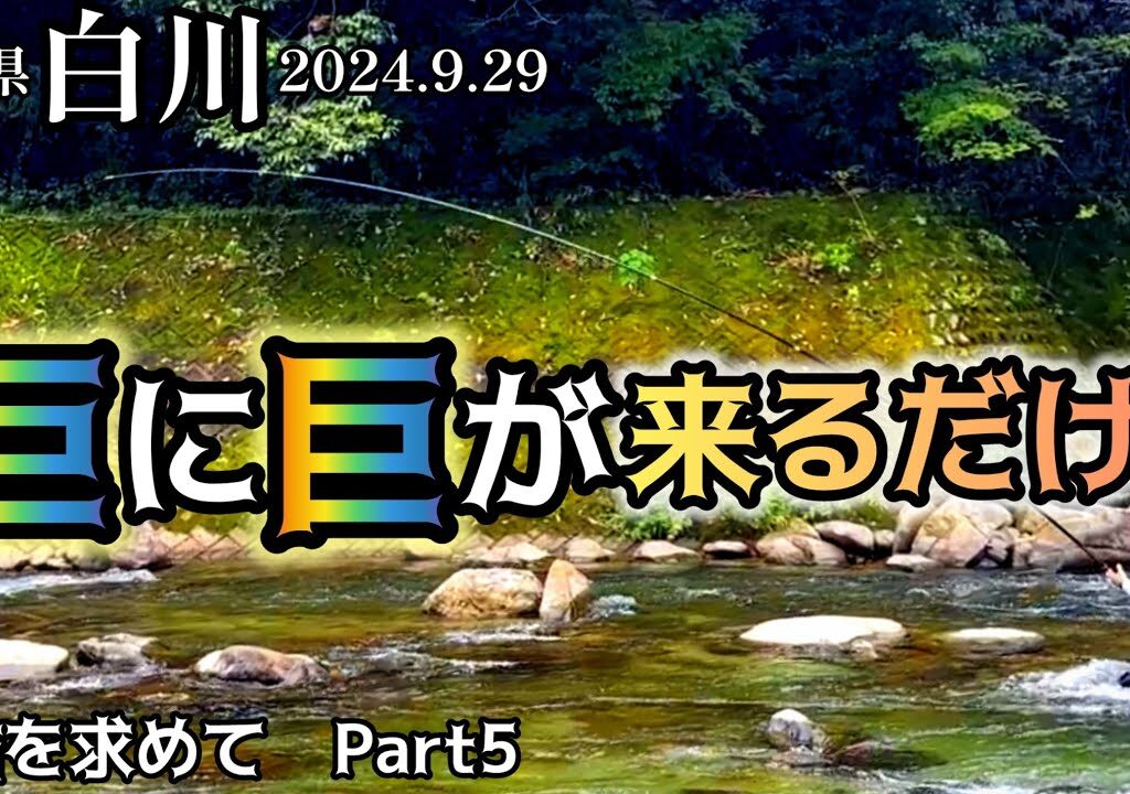 【鮎釣り】白川（岐阜県）｜2024.9.29（日）【友釣り】