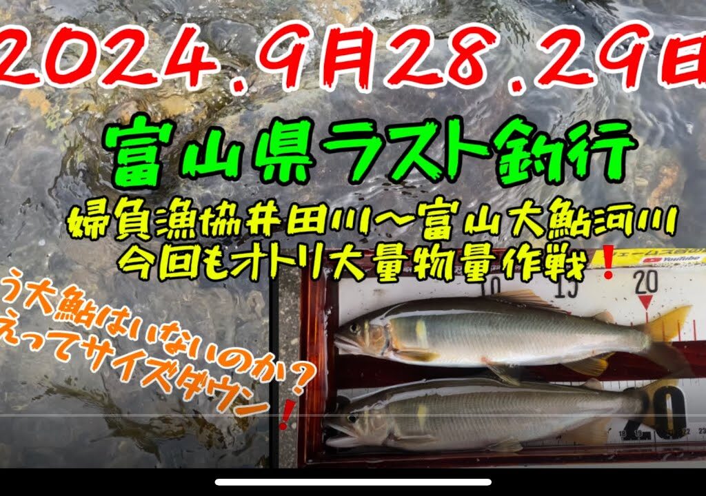 2024.9月28.29日.富山県ラスト釣行〜❗️ #釣り#鮎釣り #サンテック#サンラインフィールドテスター #サンライン#pr#富山県