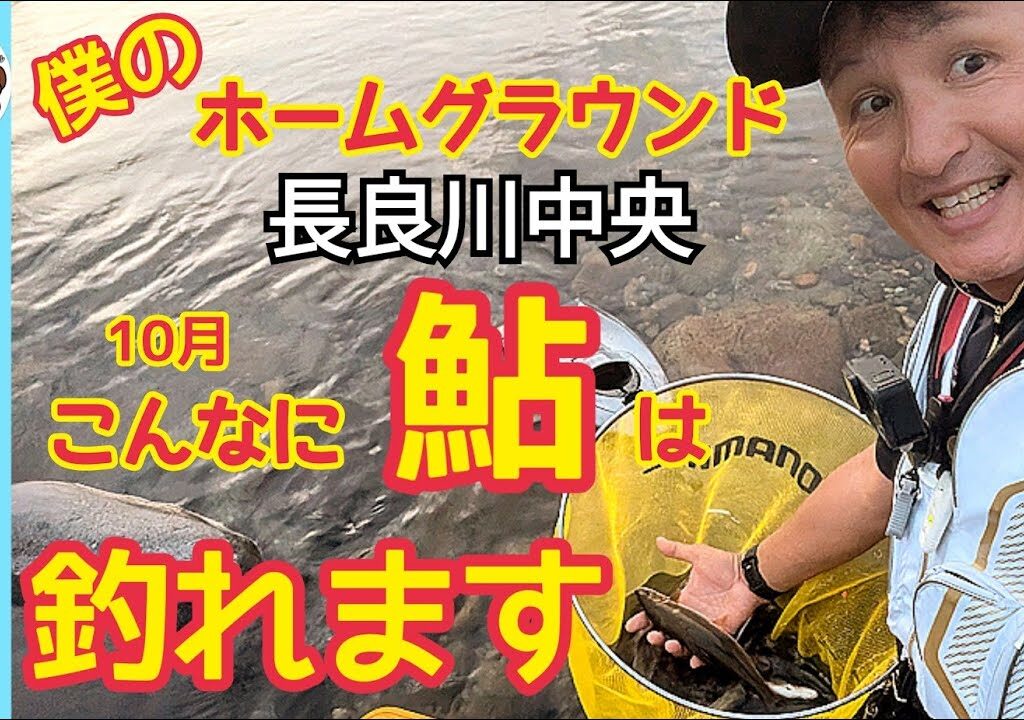【鮎釣り2024】ホームグラウンド長良川中央は10月でもこんなに鮎は釣れます！