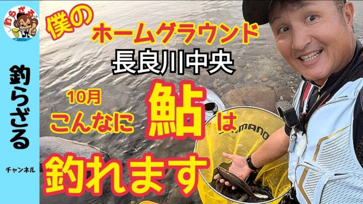 【鮎釣り2024】ホームグラウンド長良川中央は10月でもこんなに鮎は釣れます！