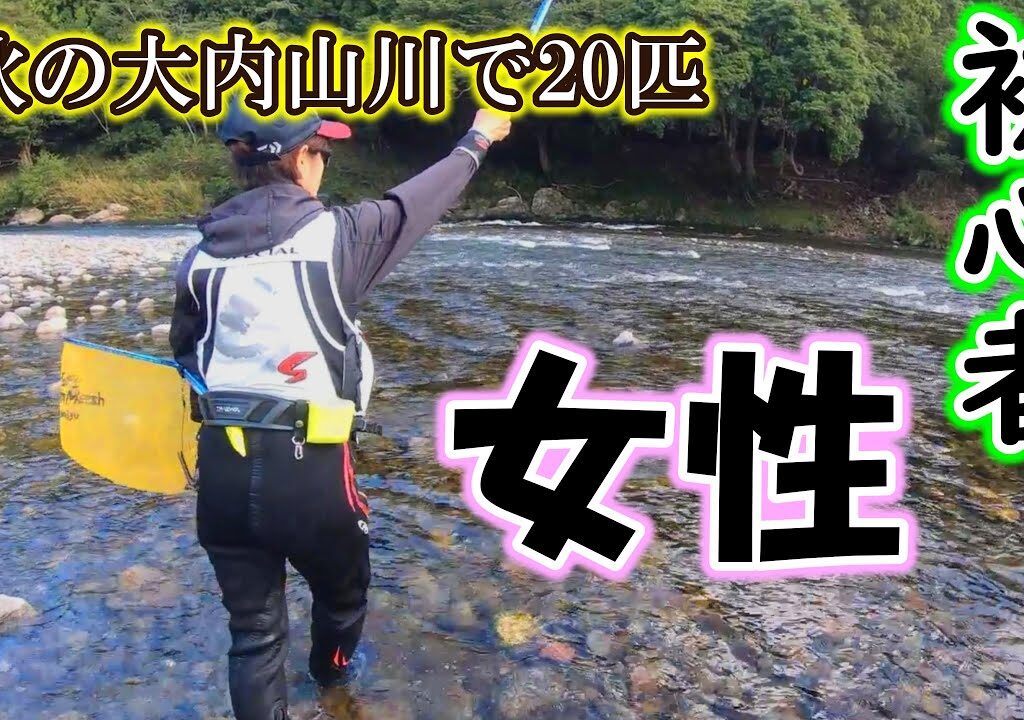 初心者の女性アユ釣り師さんに秋の大内山川で２０匹を釣らせます【2024年10月10日　友釣り】