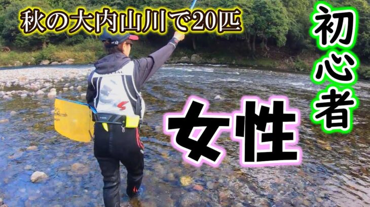 初心者の女性アユ釣り師さんに秋の大内山川で２０匹を釣らせます【2024年10月10日　友釣り】
