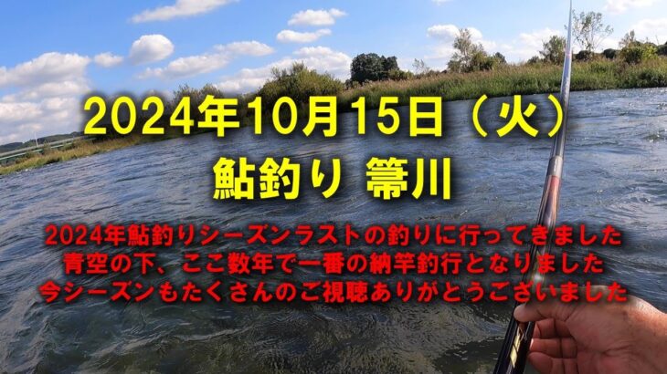 【2024鮎釣り】10月15日（火）箒川釣行（箒橋上流）