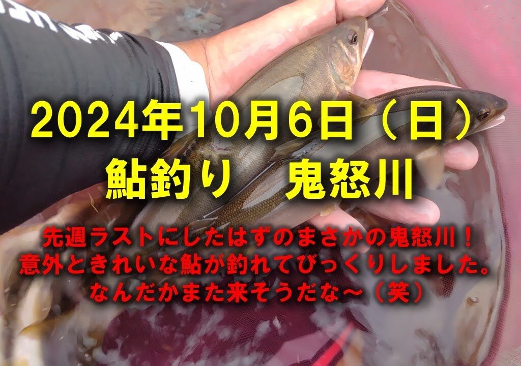【2024鮎釣り】10月6日（日）鬼怒川釣行（西鬼怒川合流）