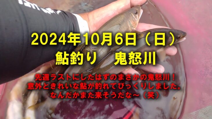 【2024鮎釣り】10月6日（日）鬼怒川釣行（西鬼怒川合流）
