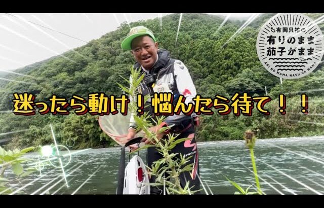 【鮎釣り】2024/7/15 迷って動くとパラダイス！