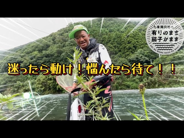 【鮎釣り】2024/7/15 迷って動くとパラダイス！