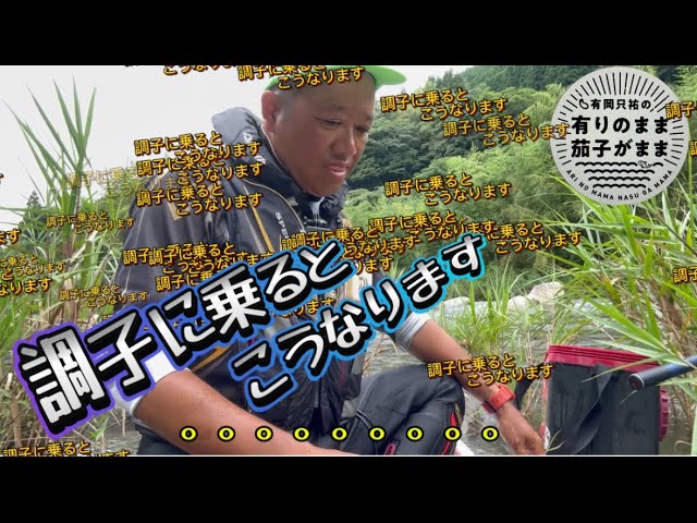 【鮎釣り】2024/7/16  柳の下のドジョウ。。。