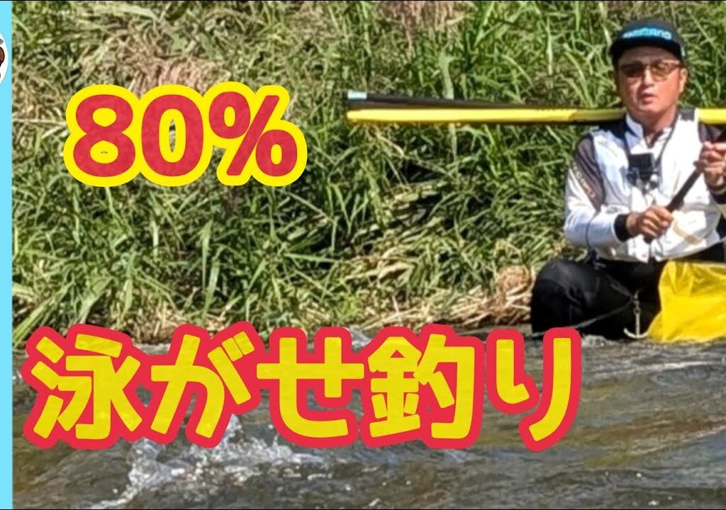 【鮎釣り2024】80％泳がせ釣りで