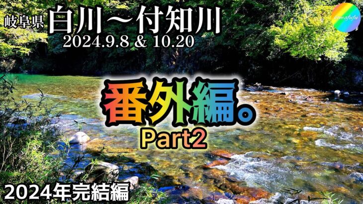 【鮎釣り】番外編②🎃白川、付知川（岐阜県）｜2日間まとめ！2024.9.8、10.20【友釣り】