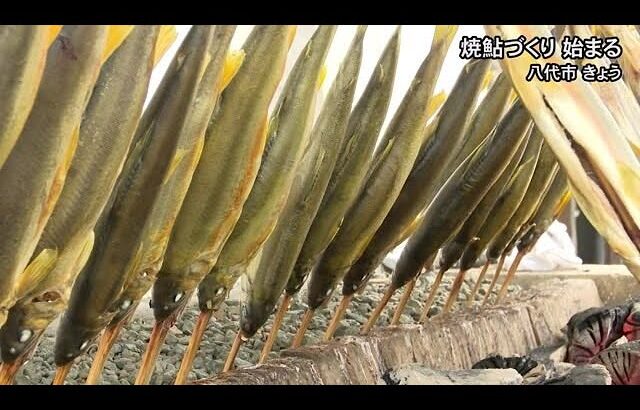 八代地方の秋の風物詩・焼鮎づくり 始まる【熊本】 (24/10/15 19:00)