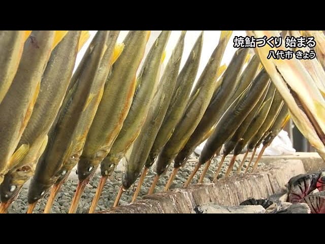 八代地方の秋の風物詩・焼鮎づくり 始まる【熊本】 (24/10/15 19:00)