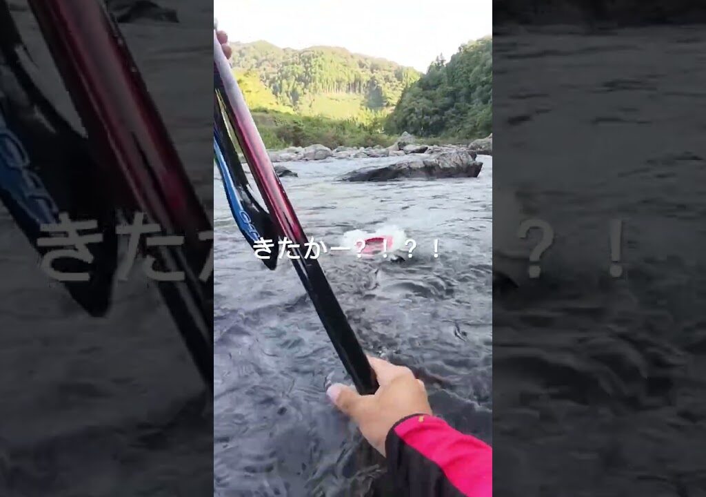 鮎釣り3年目　かかる？あるある？