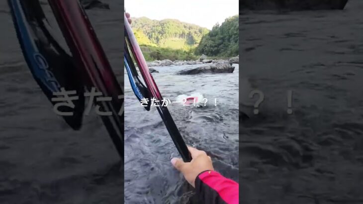 鮎釣り3年目　かかる？あるある？