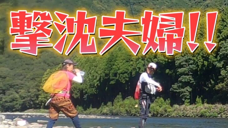 【鮎釣り】激ムズ!!奥さんの鮎は一匹！4,000円!!