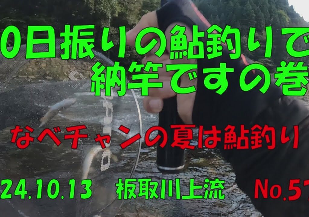 【鮎釣り】50日振りの鮎釣りで納竿の巻‼　なべチャンの夏は鮎釣り　No.57　2024 10 13　板取川上流