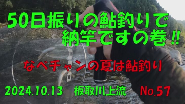 【鮎釣り】50日振りの鮎釣りで納竿の巻‼　なべチャンの夏は鮎釣り　No.57　2024 10 13　板取川上流
