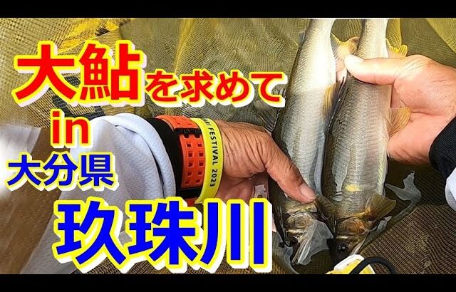 #77【やり取りが楽しすぎる！】大鮎に振り回されて来た（笑）★鮎入れ追い