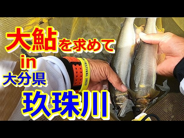 #77【やり取りが楽しすぎる！】大鮎に振り回されて来た（笑）★鮎入れ追い