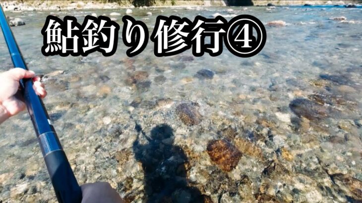 【鮎釣り】9月中旬終盤でも，まだまだ釣れます