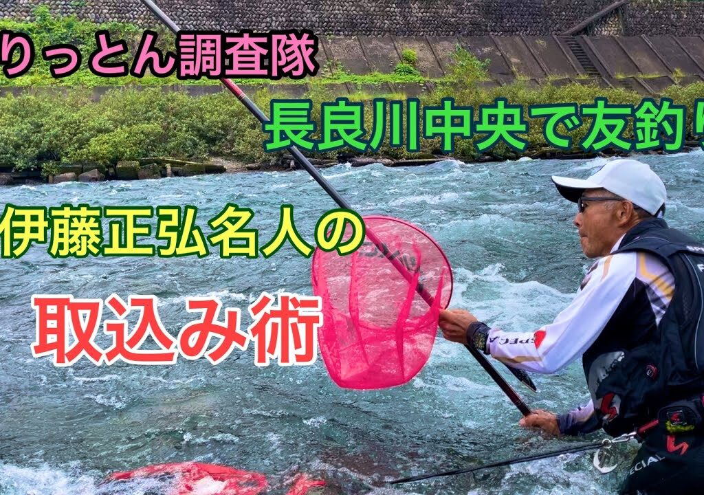 長良中央　鮎の友釣り　伊藤名人に学　9月29日