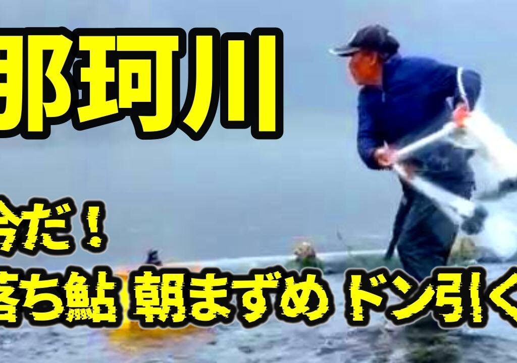 【鮎 投網】シーズン大詰め！来るか大鮎？少ないチャンスで鮎を追うズブ濡れ漁師の１日  River Healing Channel （リバヒ）