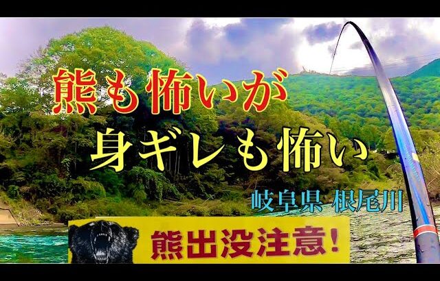 【鮎釣り】身ギレが怖くて釣り下がるの巻 in熊出現ポイント