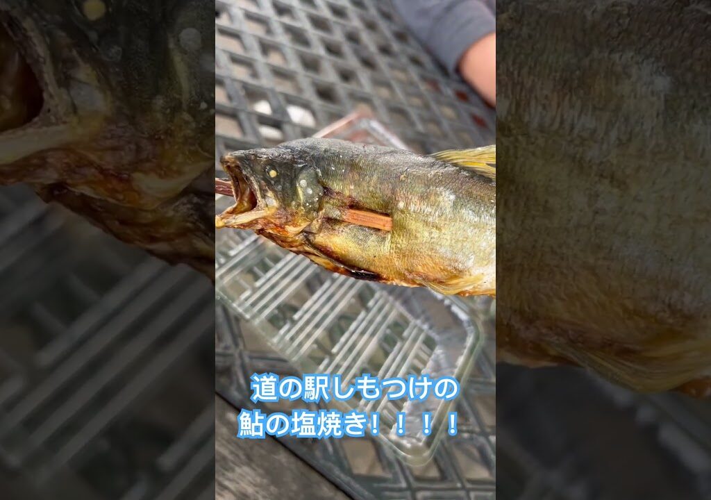 道の駅しもつけの鮎の塩焼き！！！！ #鮎の塩焼き #鮎 #道の駅 #栃木県 #栃木県グルメ #栃木旅行 #nsaoi