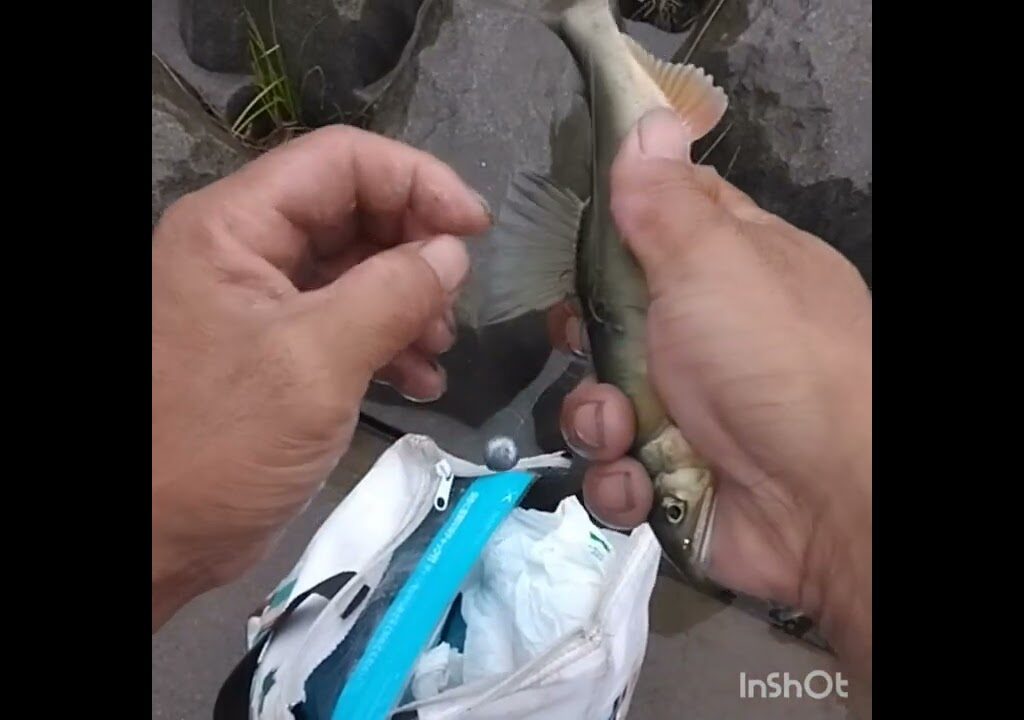 鮎釣り　１０２tres